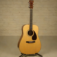Eastman E10D-CD