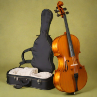 Eagleton Cello Outfit