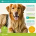 EasyDNA Dog Breed Test