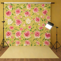 eSYbil Seamless Backdrop