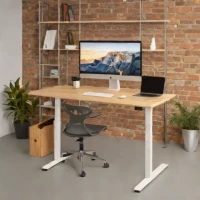 Ergonofis Alive Standing Desk