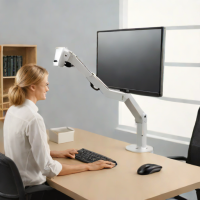 Ergotron LX Desk Monitor Arm