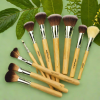 EcoTools Brush Set