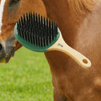 Equine Brush - Horse Brush for Dogs