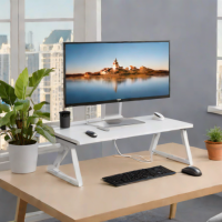 Eureka Ergonomic Monitor Riser