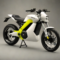 Electric Motion Epure Race