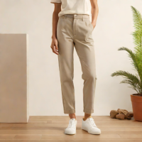 Everlane The Dreamer Chino