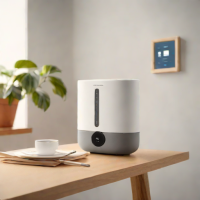 EcoFlow Energy Optimization