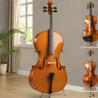 Eastar Cellos 4/4 Size Outfit