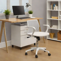 Eureka 2-Drawer File Cabinet