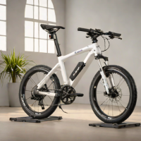 eMill Designs eBike