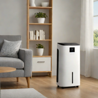 EcoFlow DX5000 Smart Dehumidifier