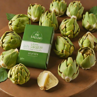 Edward & Sons Frozen Artichoke Hearts