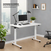 Eureka Ergonomics 4000 Series Adjustable Height Desk