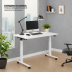 Eureka Ergonomics 4000 Series Adjustable Height Desk