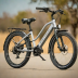 Electra Townie Go! 4i