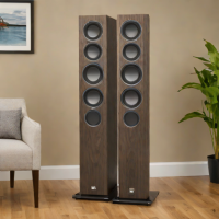 Elac Debut Reference DFR62