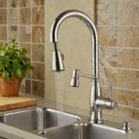 Elkay E100 Kitchen Faucet