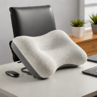 Ergonomic Solutions Lumbar Support Pillow