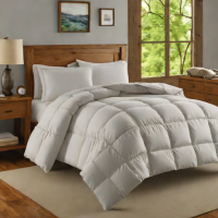 Eddie Bauer Down Comforter