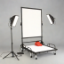 EdgeStar BID-181SD