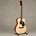 Epiphone A-110
