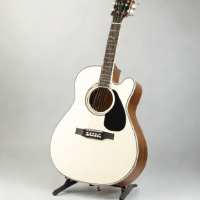 Epiphone MD200