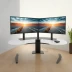 FLEXIMOUNTS Dual Monitor Stand