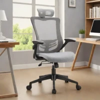 Furmax Mesh Office Chair