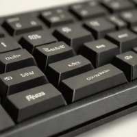 Filco Majest (Silent Switch Build)