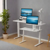 Flexispot E1Q