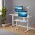 Flexispot E1Q