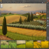 Frantoio Toscano DOP