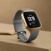Fitbit Sense 2 (GPS, Silver)