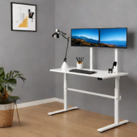 FlexiSpot E7