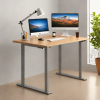 Fezibo Standing Desk