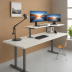 Fezibo Standing Desk