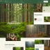 Forestry CMS