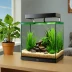 Fluval Flex 32 Gallon Aquarium