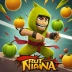 Fruit Ninja