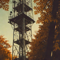Fall