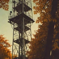Fall