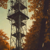 Fall