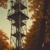 Fall