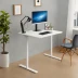 FlexiSpot E7 Pro Standing Desk