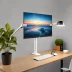 FlexiSpot Single Monitor Arm F8