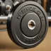 Fringe Sport Black Bumper Plates