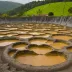 Furnas Valley Mudpots