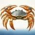 Flying Crab
