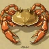 Flap-jack Box Crab